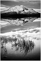 bw191